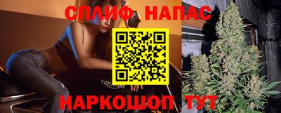индика Моздок