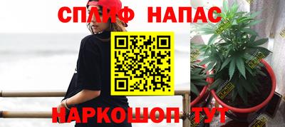 индика Моздок