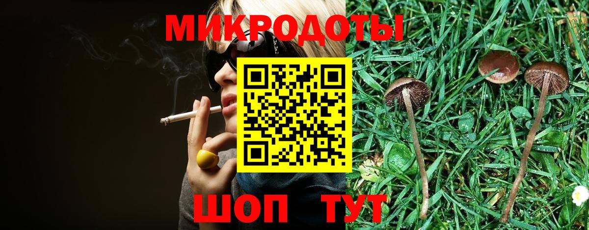 Галлюциногенные грибы мицелий  где продают   Славгород  Вход с VPN 